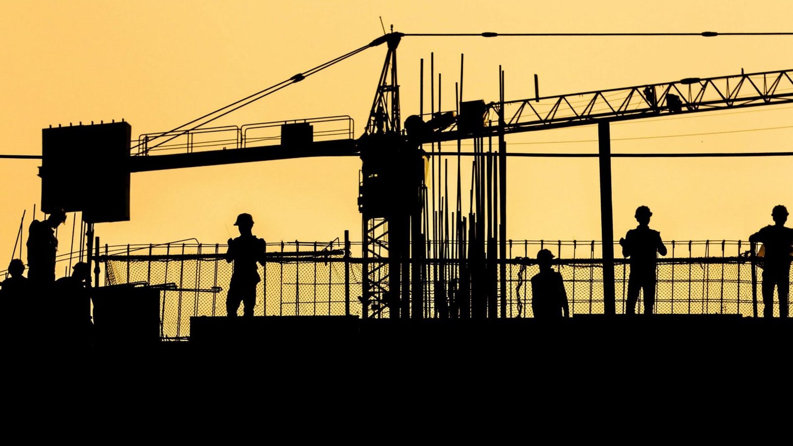 Advanced-Project-Management Software in Construction